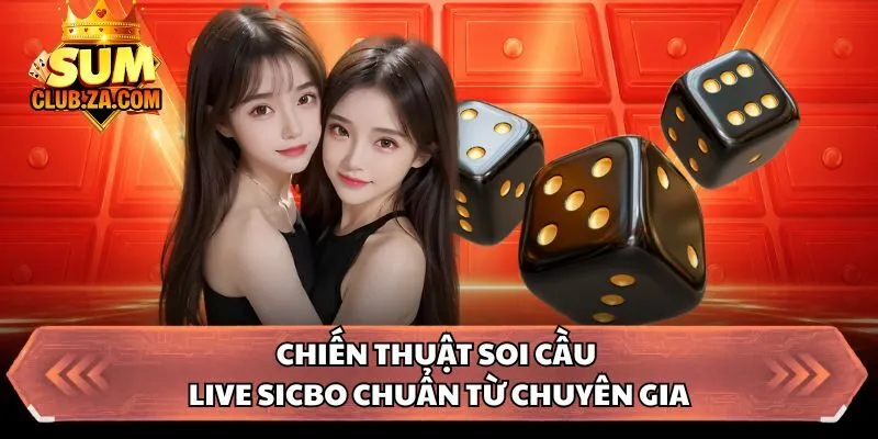 Chiến thuật soi cầu live sicbo chuẩn từ chuyên gia