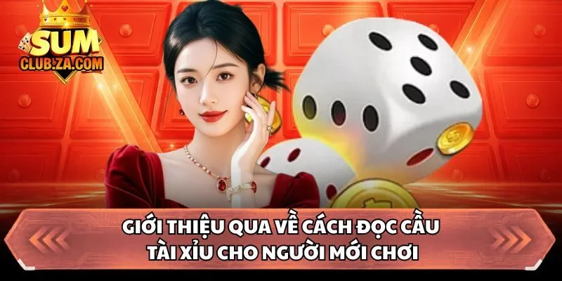 Giới thiệu qua về cách đọc cầu tài xỉu cho người mới chơi