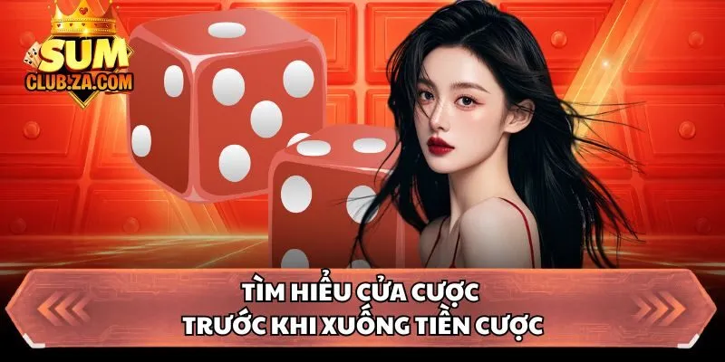 Tìm hiểu cửa cược trước khi xuống tiền cược