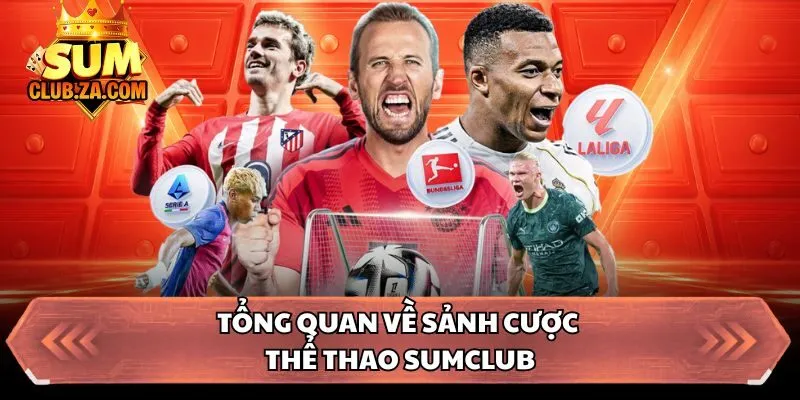 Tổng quan về sảnh cược thể thao Sumclub